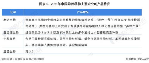 洞察2022 中國(guó)異種移植行業(yè)競(jìng)爭(zhēng)格局深度解析——研發(fā)對(duì)比、投融資與業(yè)務(wù)布局盤點(diǎn)